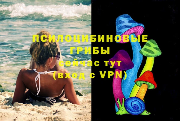 дживик Верхний Тагил