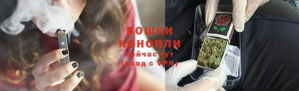 дживик Верхний Тагил
