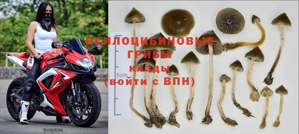дживик Верхний Тагил