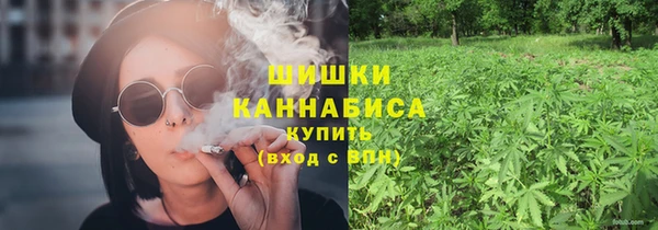 дживик Верхний Тагил