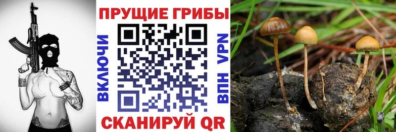 Галлюциногенные грибы ЛСД  Донецк 