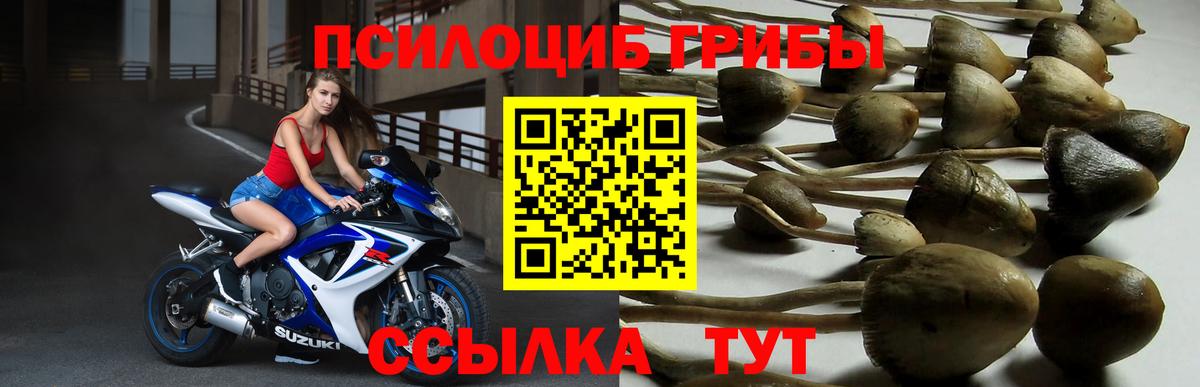 Псилоцибиновые грибы Magic Shrooms  Донецк 