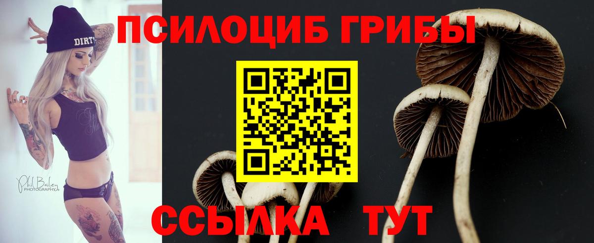 Псилоцибиновые грибы Psilocybine cubensis Донецк