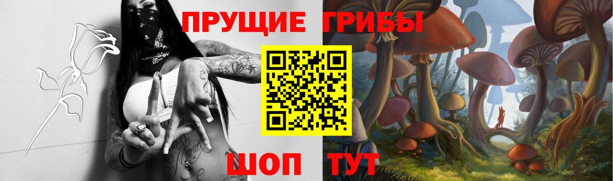 Донецк  Псилоцибиновые грибы Psilocybe  Вход с VPN 